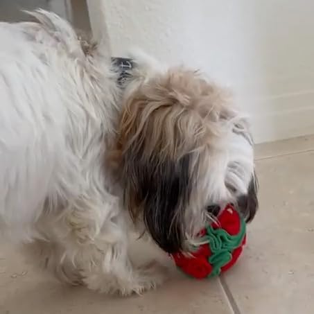 Puppy and Medium Breed Snuffle Interactive Foraging Dog Puzzle Ball Toy Christmas Green and Red Large