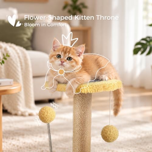Small Cat Scratching Post with Perch Kitten Toys