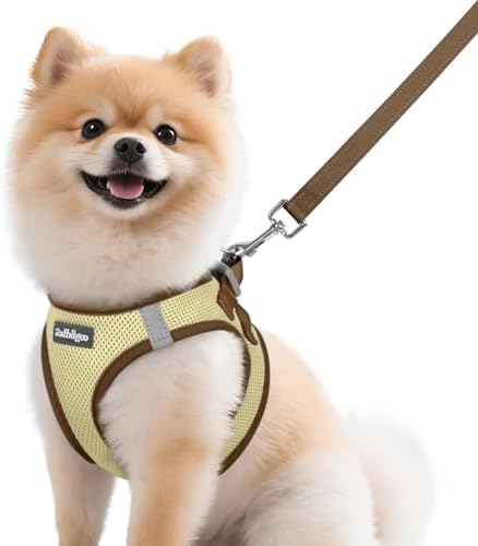 rabbitgoo Dog Harness Small Sized and Leash Set, Step in Soft Vest