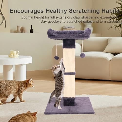 34" Cat Scratching Post for Indoor Cats, Sisal Cat Scratcher
