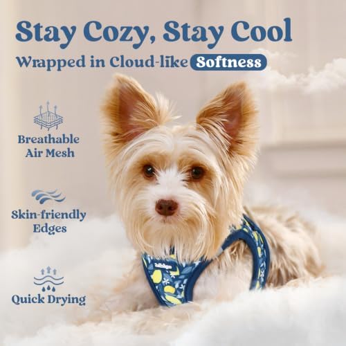 rabbitgoo Step-in Small Dog Harness, Puppy Vest