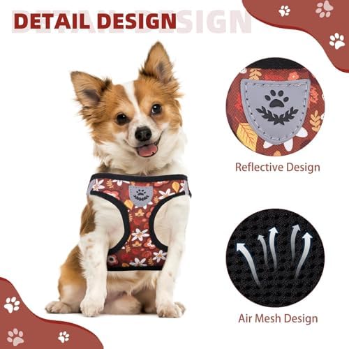 KOOLTAIL Fall Dog Harness and Leash Set