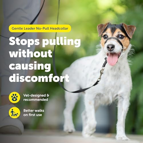 PetSafe Gentle Leader No Pull Dog Headcollar