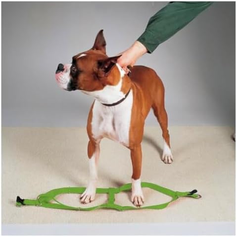 Dog Harness Easy to Use 2 Step Secure Safe Comfortable Firm No Struggle Pull