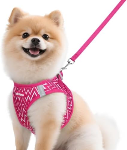 rabbitgoo Dog Harness Small Sized and Leash Set, Step in Soft Vest
