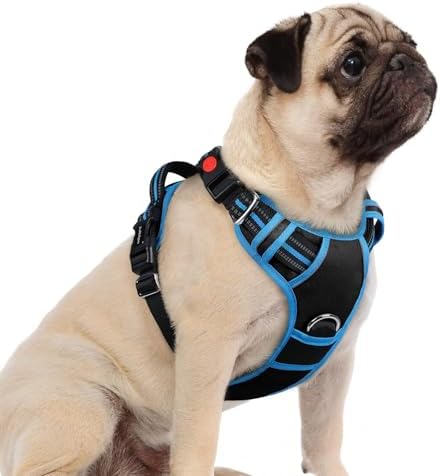 rabbitgoo Dog Harness Small Sized, No Pull 3 Buckles Easy On & Off