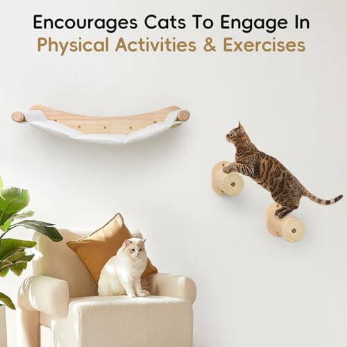 Cat Wall Hammock, Cats Climbing Shelves