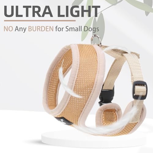 PUPTECK Small Dog Harness and Leash Set No Pull