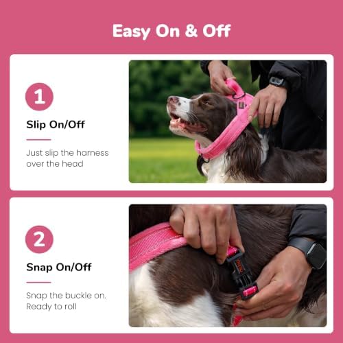Didog No Pull Dog Harness for Small Dogs, Soft Flannel Padded