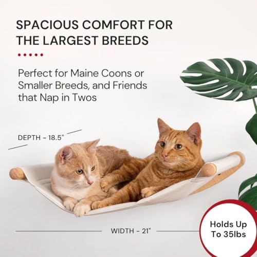 7 Ruby Road Cat Wall Hammock for Large Cats, Cat Wall Bed