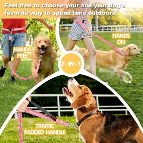 Laqibak Hands Free Dog Leash, Adjustable Waist Leash