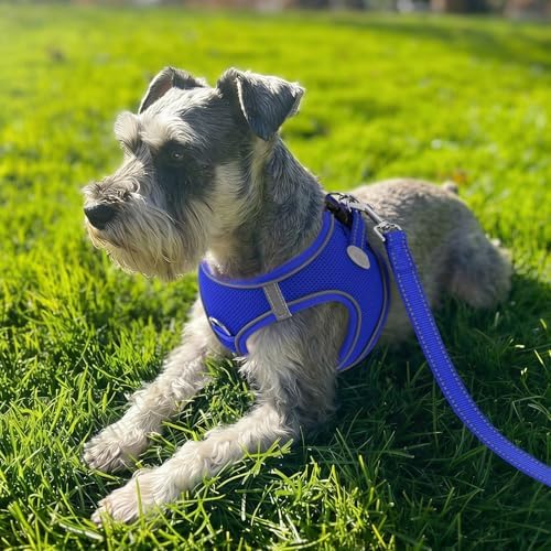 Joytale Step-in Dog Harness, Soft Breathable Mesh