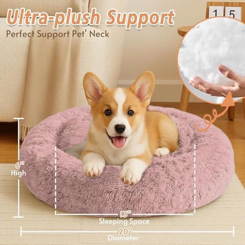 JOLLYVOGUE Calming Small Dog & Cat Bed