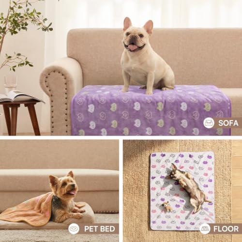 Luciphia 1 Pack 3 Blankets Super Soft Fluffy Premium Cute Cat Pattern Pet