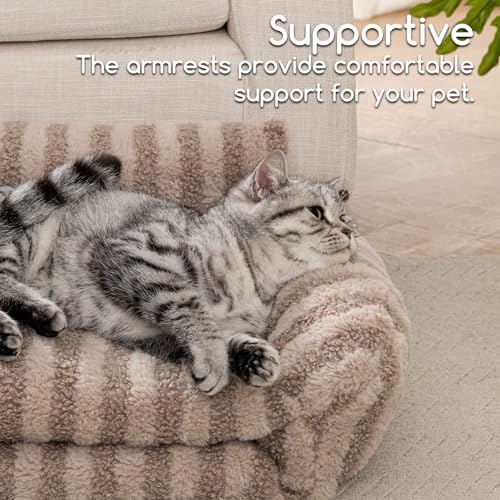 Hollypet Cat Bed Small Dog Orthopedic Couch Beds