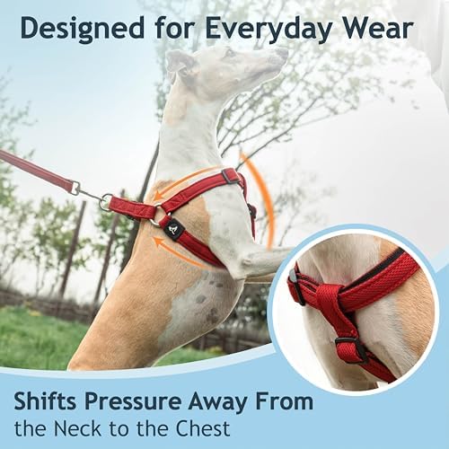 Kruz No Pull Dog Harness Heavy-Duty Pet Harness