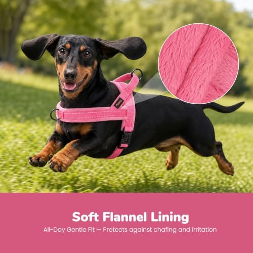 Didog No Pull Dog Harness for Small Dogs, Soft Flannel Padded