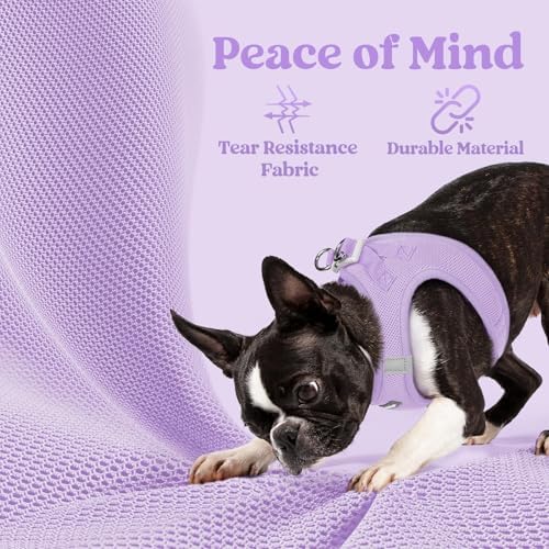 rabbitgoo Step-in Small Dog Harness, Puppy Vest