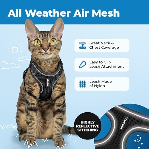 Voyager Escape-Proof Step-in Cat Harness & Leash