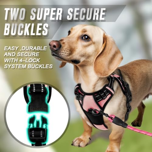 BARKBAY Dog Harness No Pull for Small Sized Dog Front Back Clips, Dog Vest
