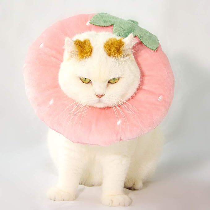 Adjustable Cat Recovery Collar Soft,Cute Pet E-Collar Neck Cone After Surgery Wound Healing Protective Cone Fit for Kitties, Small Dogs(ELC05-strawberry-l)