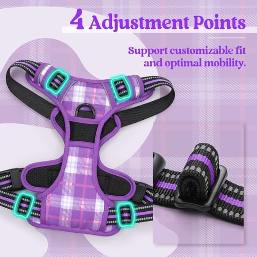 rabbitgoo Dog Harness, No Pull Medium Sized