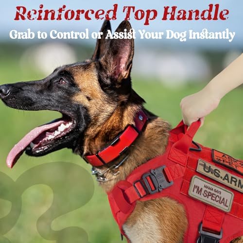 rabbitgoo Tactical Dog Harness for Medium, Heavy Duty Military No Pull Vest