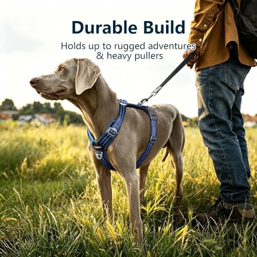No Pull Dog Vest Harness Large Medium Small Sized Dog Friendly