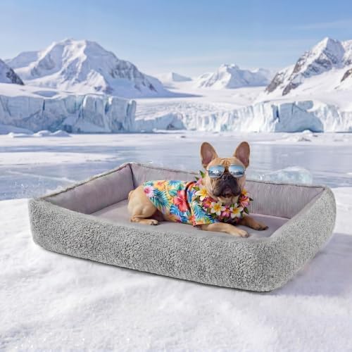 Cooling Dog Bed for Small Medium Dogs
