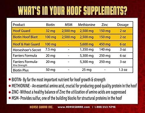 Horse Guard Hoof Supplements for Horses - 80 Servings - Biotin Hoof Blast 10lb Bag with 100mg Biotin per Serving - Concentrated Equine Hoof Health, Strengthener with MSM, Methionine, Zinc
