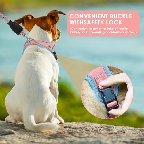 Dog Harness and Leash Set, No Pull Saddle Style Pet Harness, Breathable Mesh