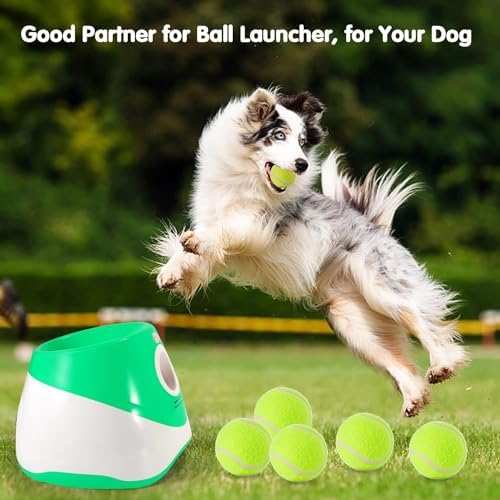 MEKAPLE 6 Pack Mini Tennis Balls