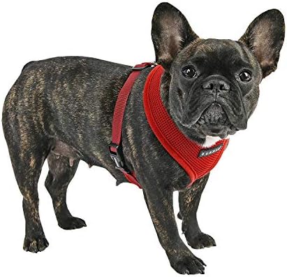 Puppia Soft Dog Harness