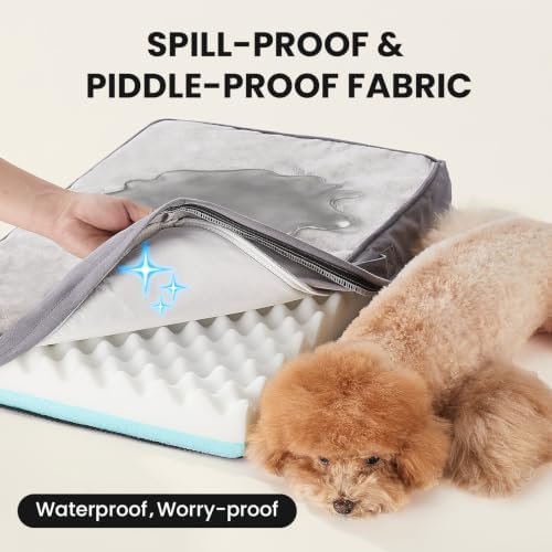 OhGeni Orthopedic Waterproof Small Dog Bed, Memory Foam, 24 inch