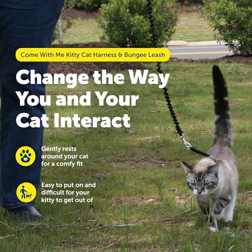 PetSafe Come With Me Kitty Harness and Bungee Leash, Harness