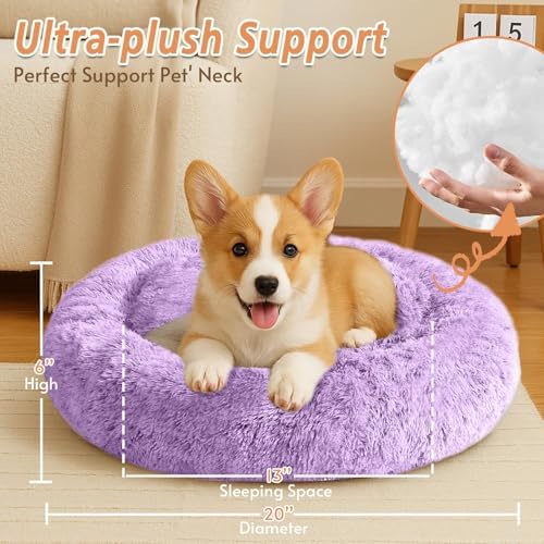 JOLLYVOGUE Calming Small Dog & Cat Bed