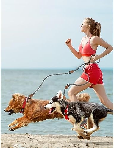 Mile High Life Double Dog Leash