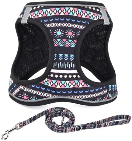 Mihqy Step in Dog Harness and Leash Set, Breathable Mesh