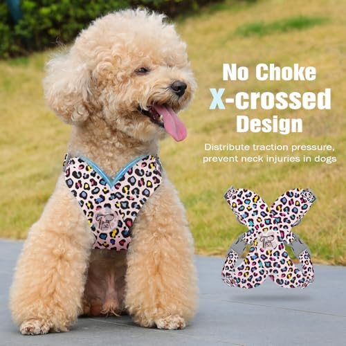 Pawaboo Small Dog Harness and Leash Set, Puppy Harness X-Frame Adjustable