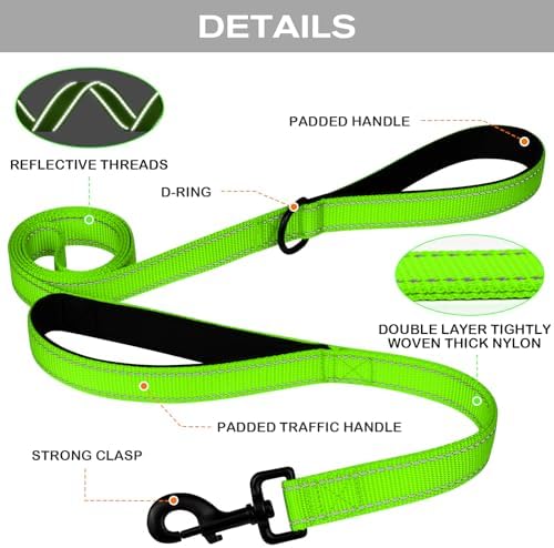 Joytale Dog Leash for Large Dogs that Pull, Double Handle