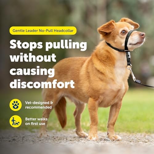 PetSafe Gentle Leader No Pull Dog Headcollar