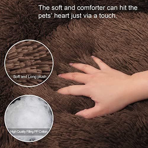 Cat Beds for Indoor Cats