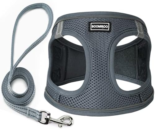 Dog Harness with Leash Set, Step-in Adjustable Puppy Pet Vest