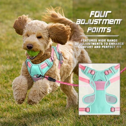 BARKBAY Dog Harness No Pull for Small Sized Dog Front Back Clips, Dog Vest