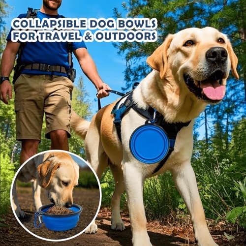 42 Inch Collapsible Dog Travel Crate