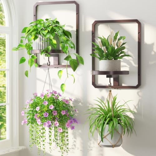 LASZOLA Plant Picture Frame Holder Shelf Wall Window Indoor