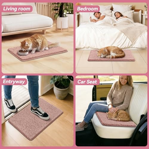 Bcoimo Super Absorbent Cat Door Mat