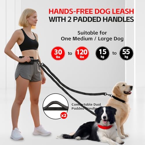 Hands Free Dog Leash for 2 Dogs