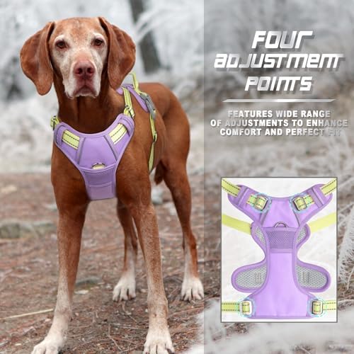 BARKBAY Dog Harness No Pull for Large Dogs Front Back Clips, Dog Vest