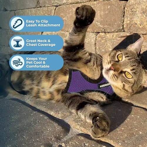 Voyager Step-in Lock Cat Harness & Leash Set